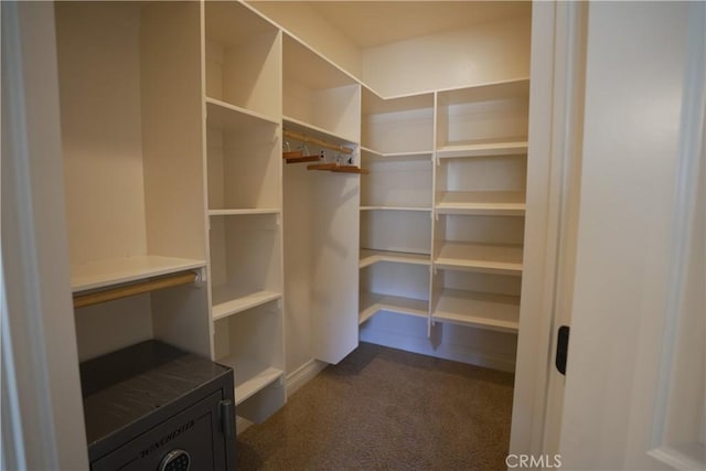 25841 Remington Ct, Tehachapi, CA 93561 - spacious closet with dark carpet