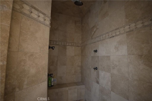 25841 Remington Ct, Tehachapi, CA 93561 - interior details with a tile shower