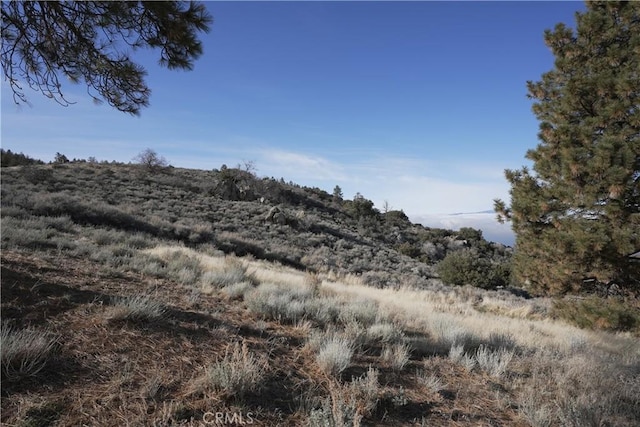 25841 Remington Ct, Tehachapi, CA 93561 - view of landscape