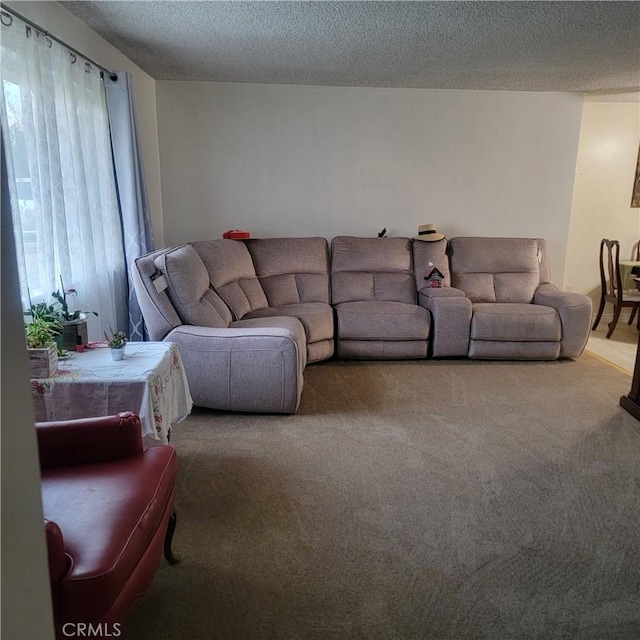 living area featuring a textured ceiling and carpet