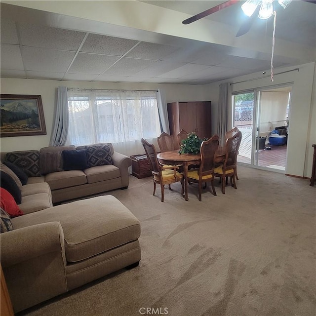 living area featuring a ceiling fan, light colored carpet, and a drop ceiling