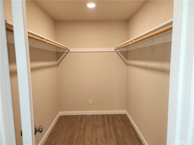 walk in closet with wood finished floors