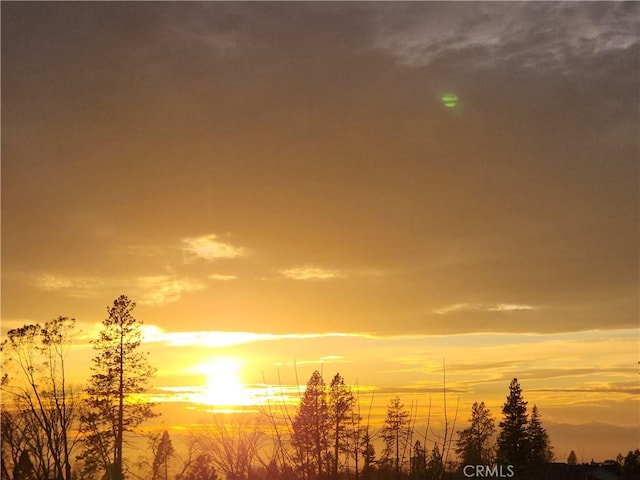 view of nature at dusk