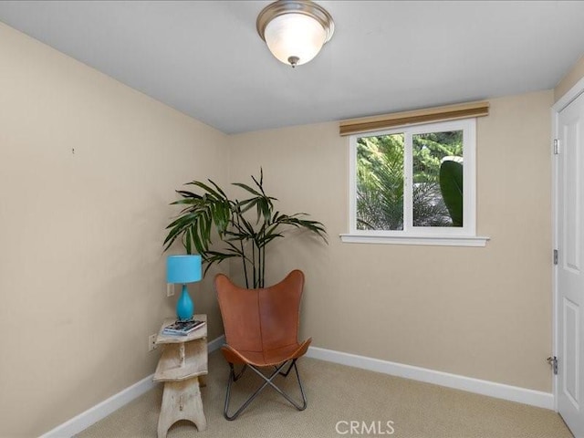 sitting room featuring baseboards and carpet floors