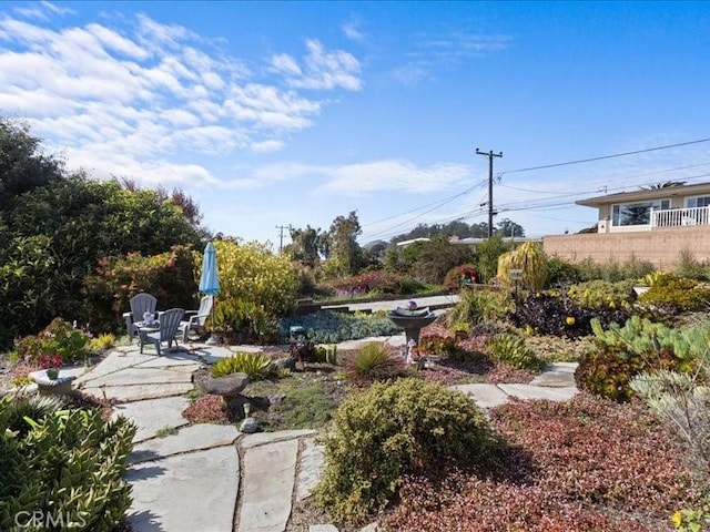 view of yard with a patio area