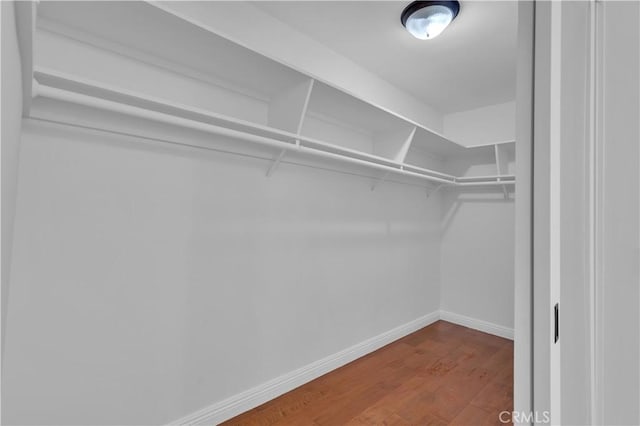 spacious closet with wood finished floors