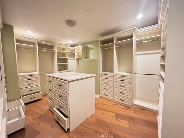 spacious closet featuring light wood-style floors