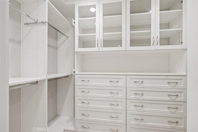 view of spacious closet