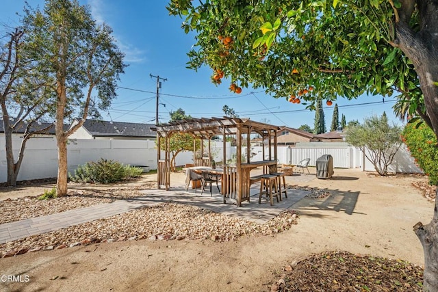 view of yard featuring a patio area, a fenced backyard, outdoor dry bar, and a pergola