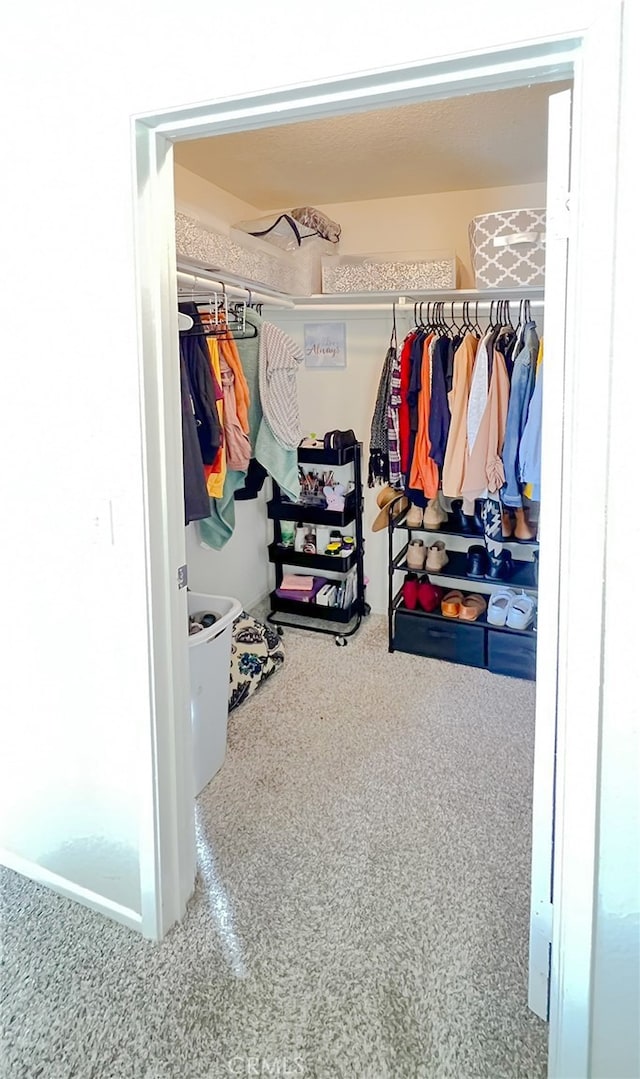 40661 169th St E, Lancaster, CA 93535 - view of spacious closet