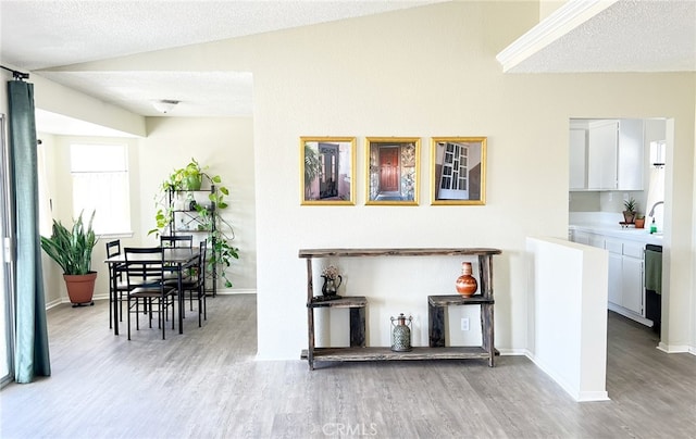 40661 169th St E, Lancaster, CA 93535 - living area featuring wood finished floors, baseboards, and a textured ceiling
