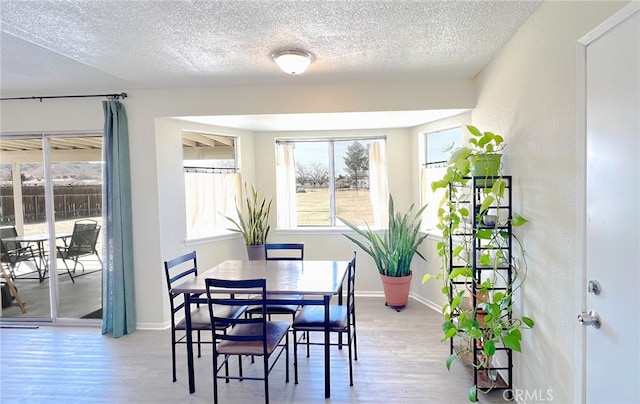 40661 169th St E, Lancaster, CA 93535 - dining room featuring wood finished floors, baseboards, and a textured ceiling