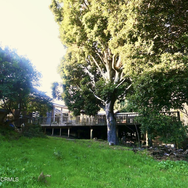 view of yard featuring a deck