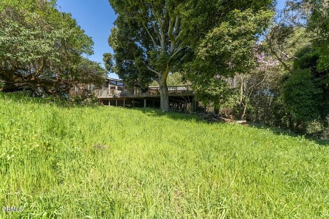 view of yard with a wooden deck
