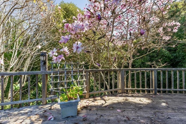 view of deck