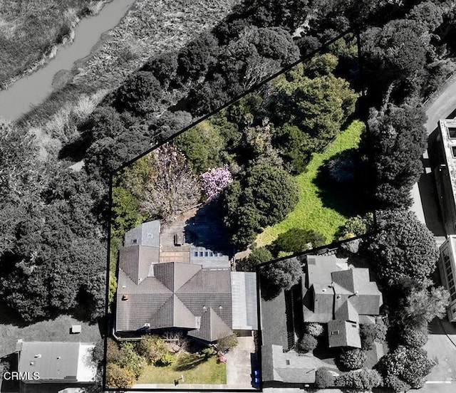 aerial view