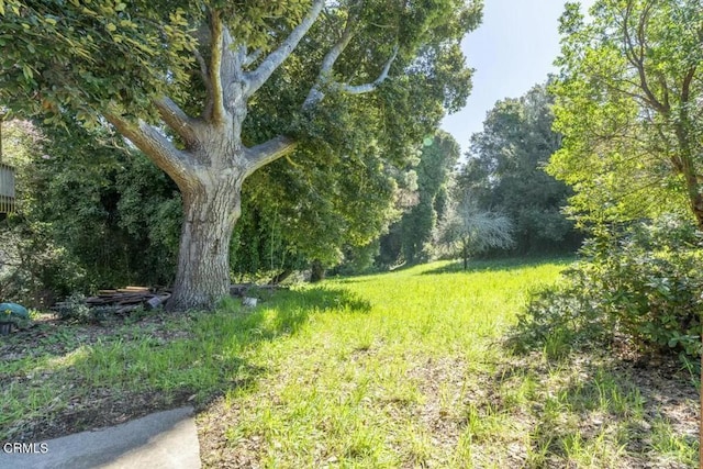 view of yard with a forest view