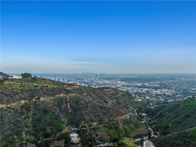 8000 Oceanus Dr, Los Angeles, CA 90046 - photo 37