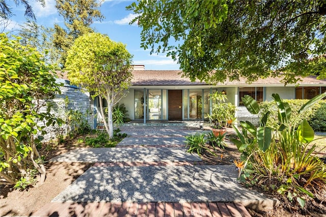 ranch-style house featuring stucco siding