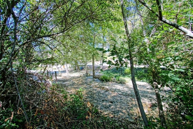 14078 Pollard Rd, Lytle Creek, CA 92358 - view of yard featuring a forest view