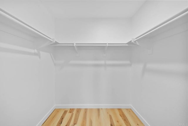 walk in closet with wood finished floors