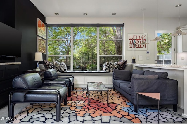 living area featuring plenty of natural light