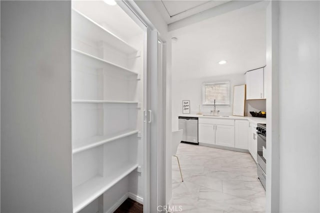 pantry with a sink