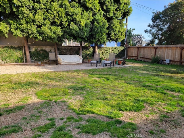 view of yard with a patio and a fenced backyard