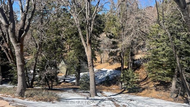736 Dahlia Dr, Green Valley Lake, CA 92341