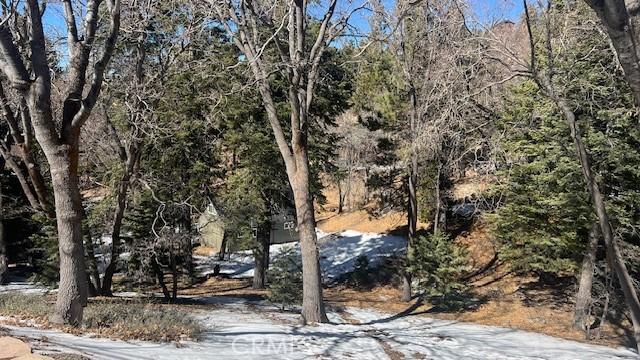 736 Dahlia Dr, Green Valley Lake CA, 92341 land for sale