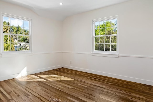 spare room featuring a healthy amount of sunlight, baseboards, and wood finished floors