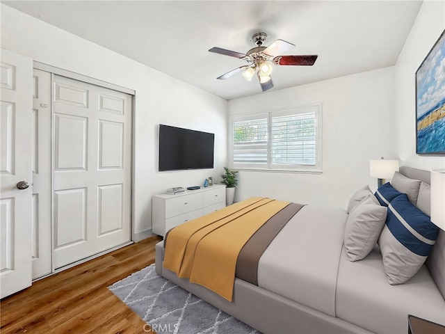 bedroom with ceiling fan and wood finished floors