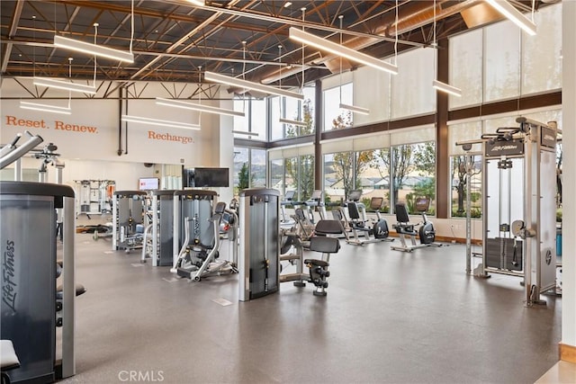 exercise room with a high ceiling and a wealth of natural light