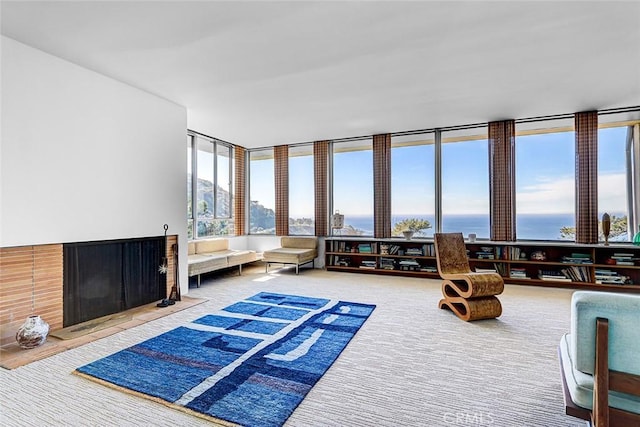 interior space with a view of city and carpet flooring