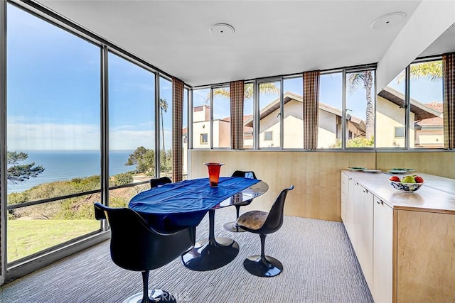 sunroom / solarium with a healthy amount of sunlight and a water view