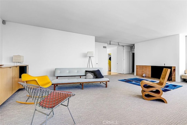 living area with light carpet and track lighting