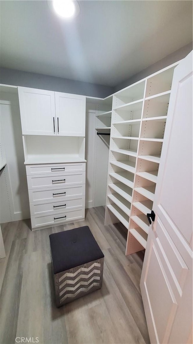 spacious closet featuring light wood-type flooring