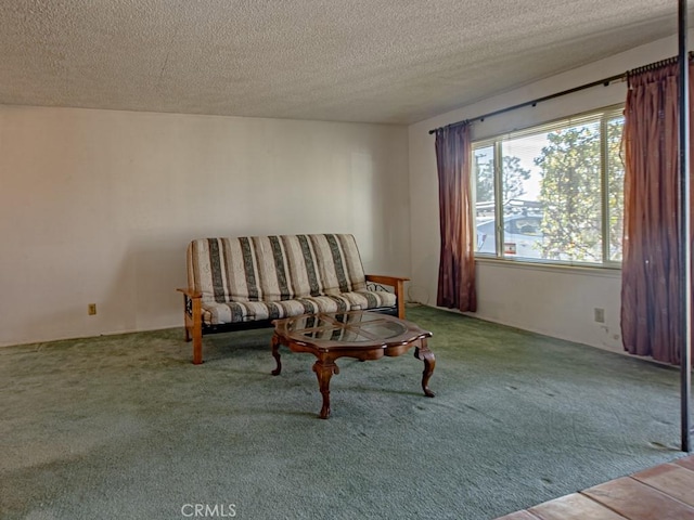 sitting room featuring carpet and a textured ceiling