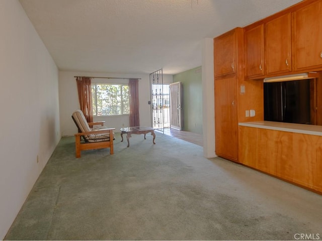 unfurnished room with light colored carpet