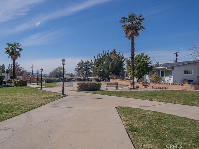 view of community with a lawn