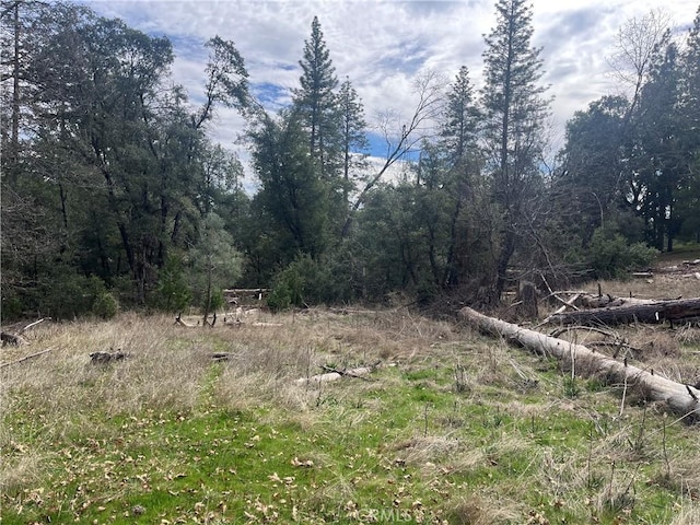 Listing photo 3 for 0 Rd 222, Wishon CA 93669