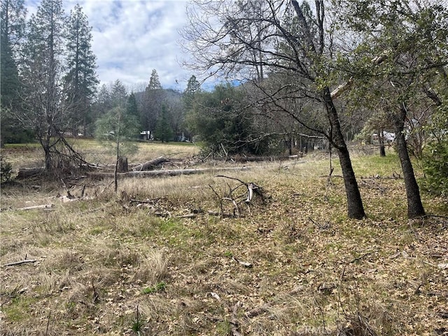 0 Rd 222, Wishon CA, 93669 land for sale