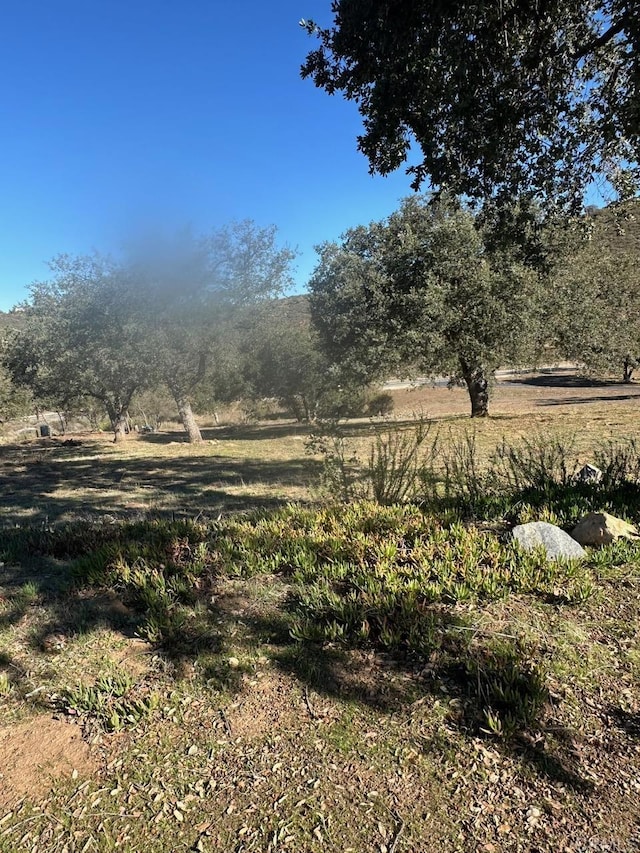 view of nature featuring a rural view