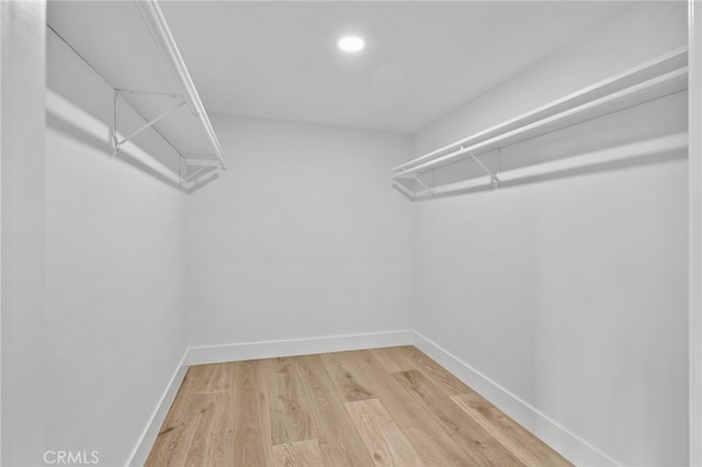 spacious closet featuring wood finished floors