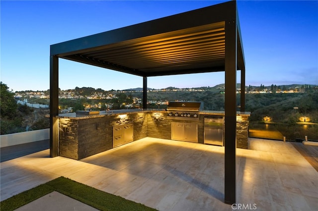 view of patio / terrace with grilling area and an outdoor kitchen