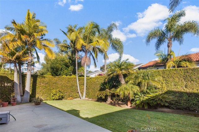 view of yard with a patio area and a fenced backyard