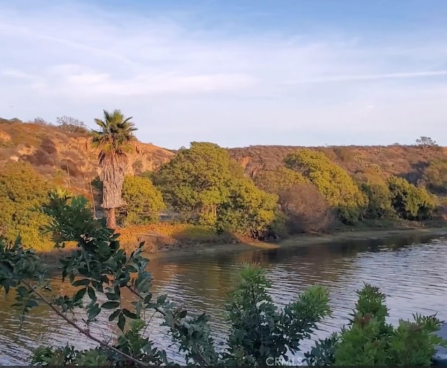 water view featuring a forest view