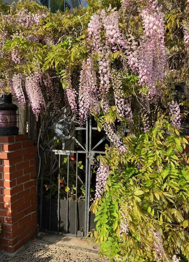 476 62nd St, Newport Beach, CA 92663 - view of gate