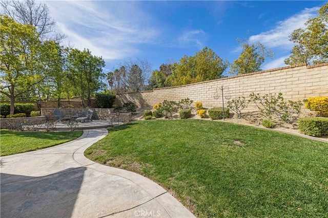 view of yard featuring a fenced backyard and a patio