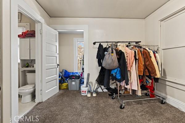 mudroom with carpet flooring and crown molding